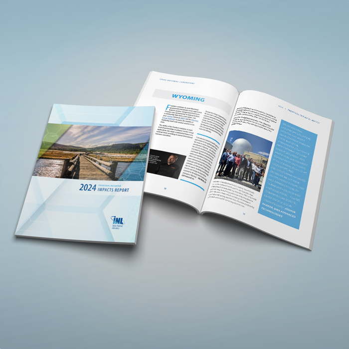 portfolio item